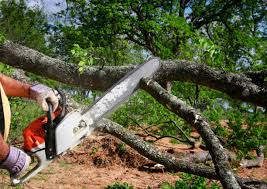 Best Lot and Land Clearing  in Rye Brook, NY